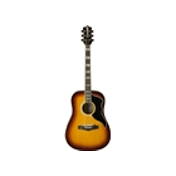 Eko Guitars Ranger VI VR Eq Honey burst