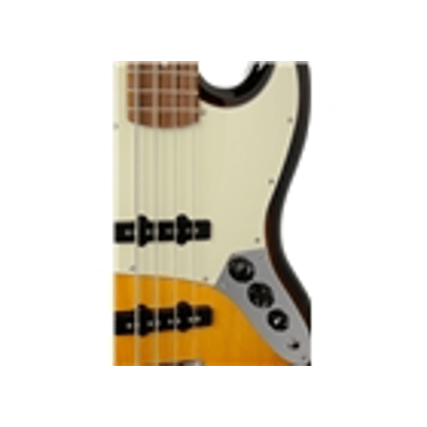 Eko Guitars VJB-200V Vintage Sunburst
