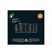 ico 2