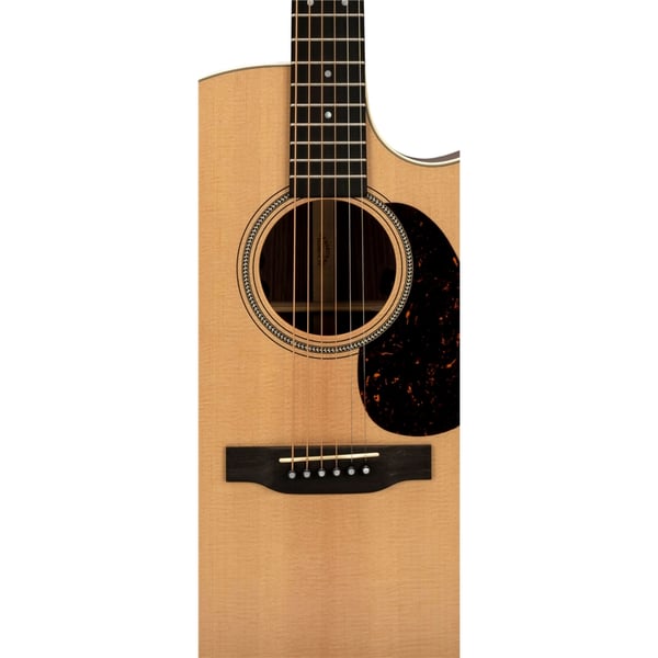 Martin & Co. GPC-16E-01 Rosewood