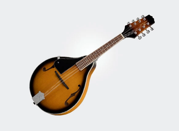 Strumenti bluegrass, blues folk