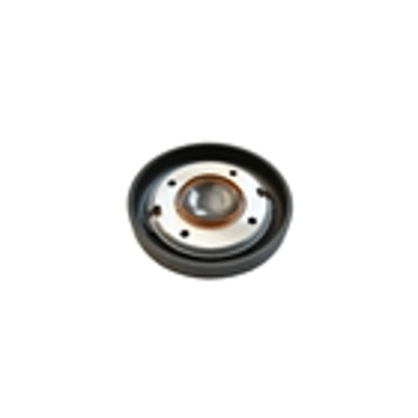 Celestion CDX1-14 PETP Diaphragm 8ohm T5549