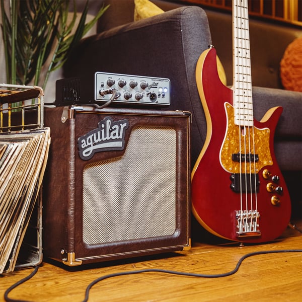 Aguilar SL 110 Chocolate Brown - 8 Ohm