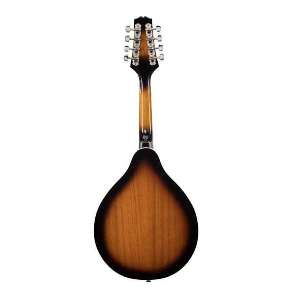 SOUNDSATION Mandolino bluegrass elettrificato con top in abete laminato