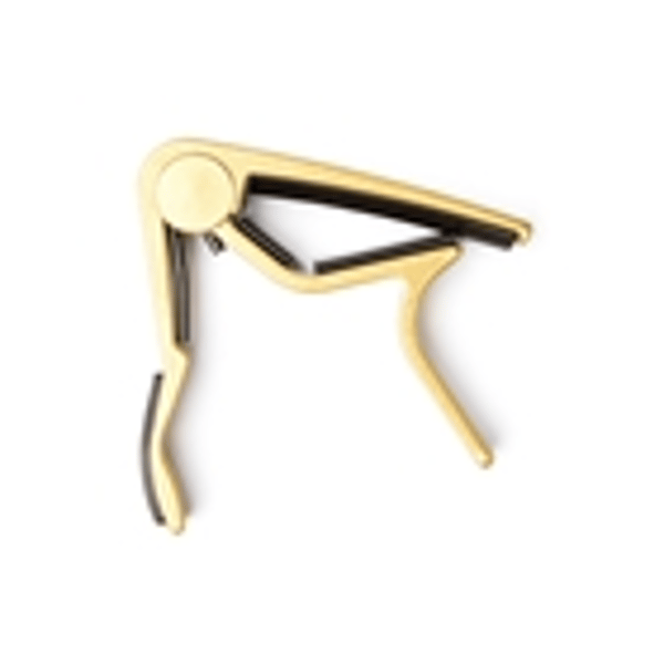 Dunlop 83CG Curved Gold