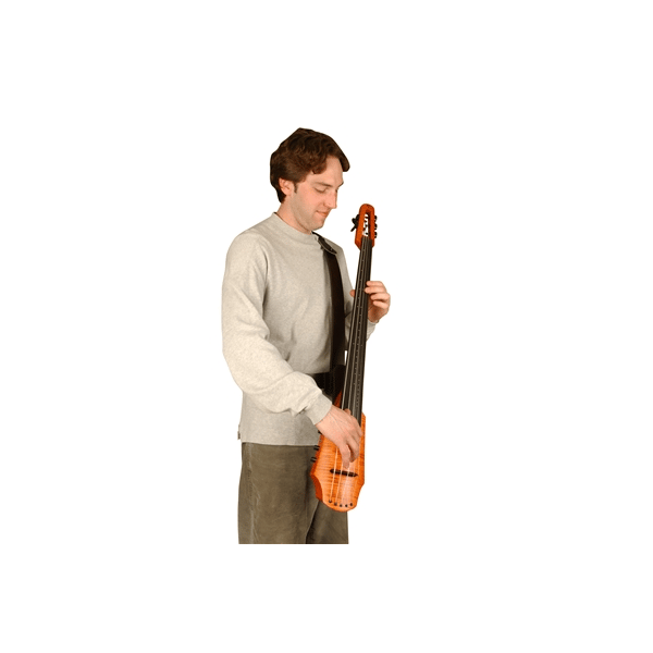 NS Design CR-FSS-CODB Frame Strap System