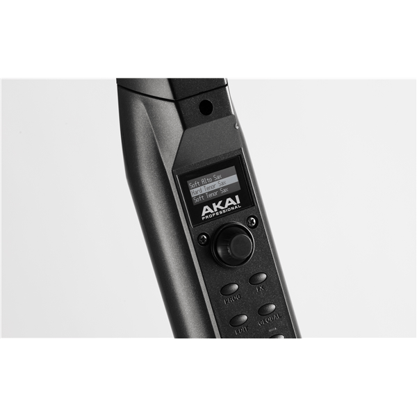 Akai Professional EWI SOLO WIND CONTROLLER