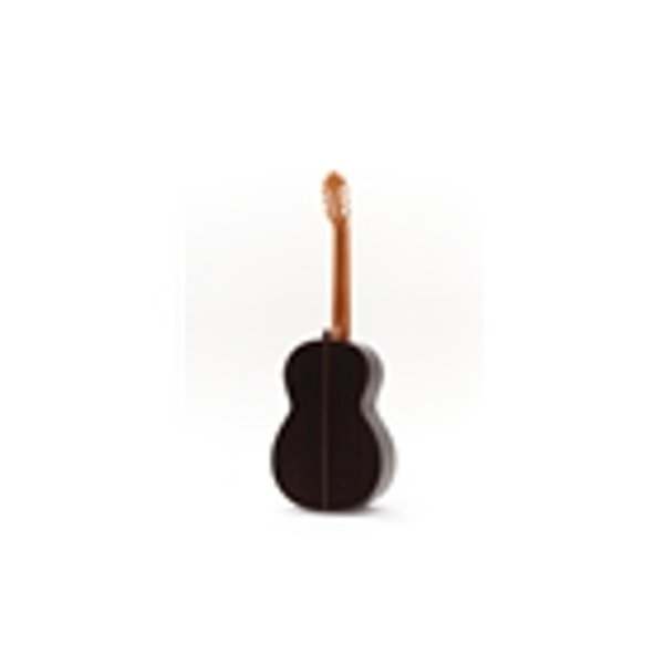Esteve Octave Bass 6 Chitarra Contrabbasso