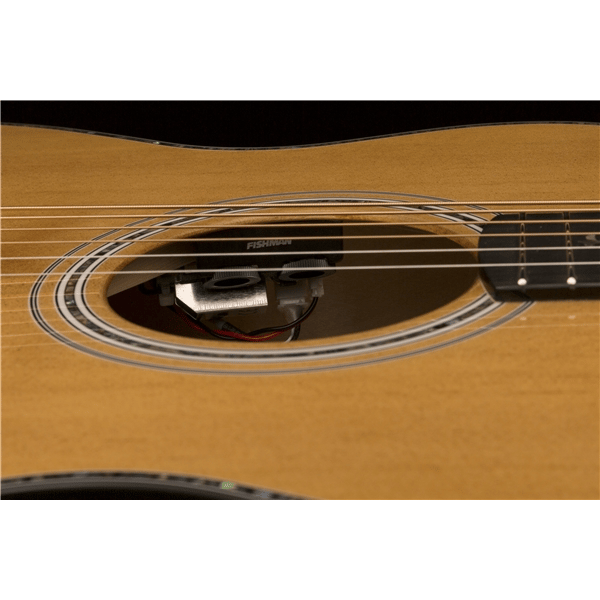 PRS SE A50E Black Gold Burst