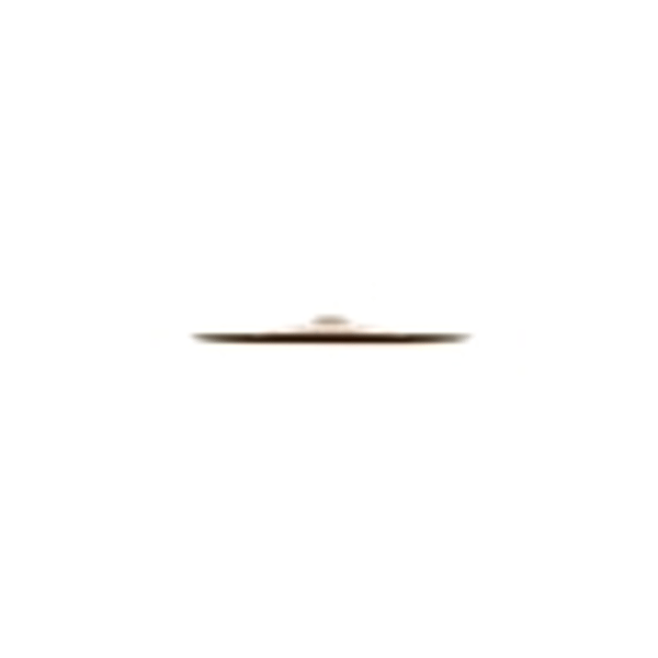 Zildjian A0620-20" FX China Trash