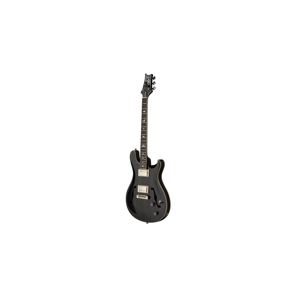 PRS SE Hollowbody Standard Dog Hair Smokeburst