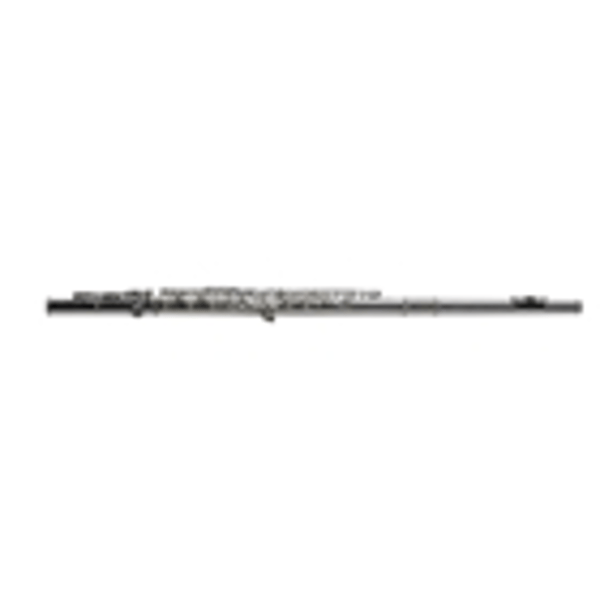 SML Paris VSM FL300E