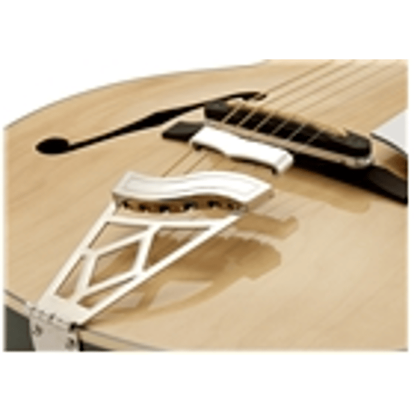 Vox Giulietta VGA-5TPS Natural Green Metallic