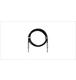 ico 2