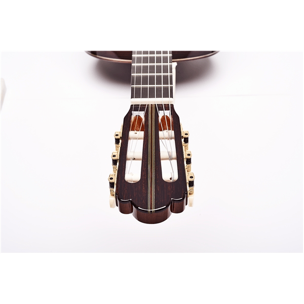 Esteve Hauser Chitarra Classica