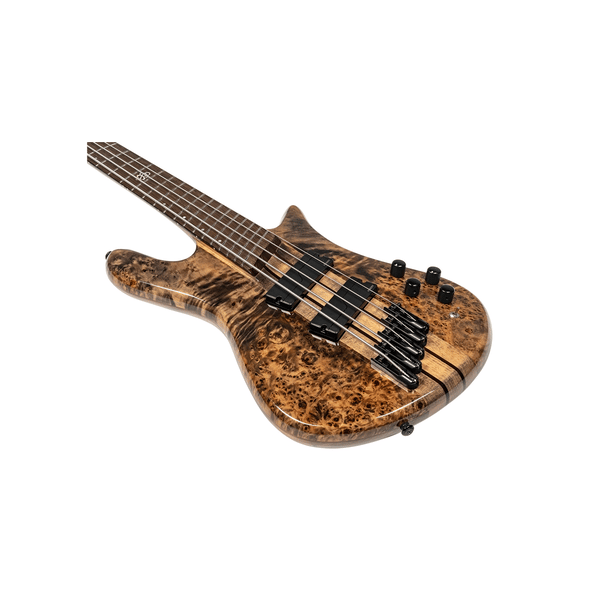 Spector NS Dimension 5 Super Faded Back Gloss