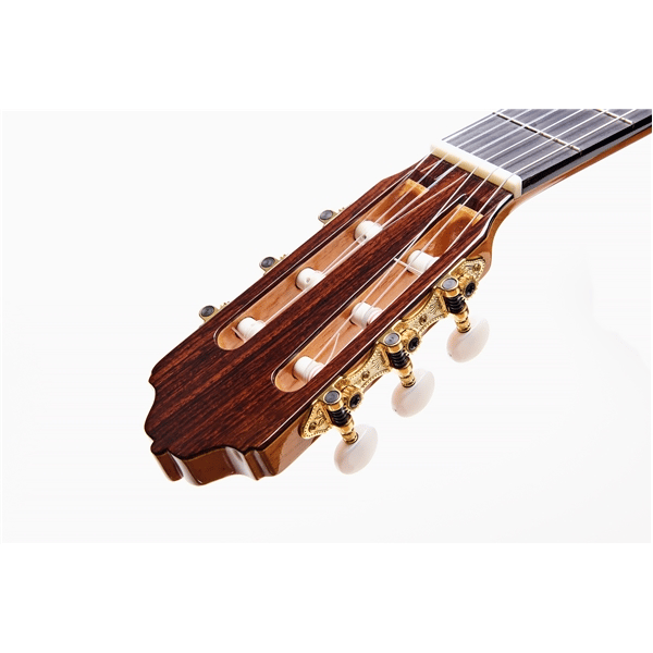 Esteve Alegria Chitarra Classica