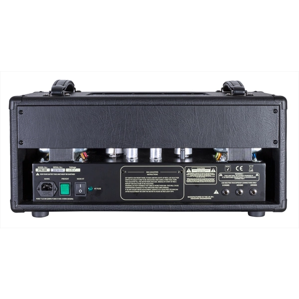 ASHDOWN CTM-100 TESTATA VALVOLARE PER BASSO ELETTRICO 100W