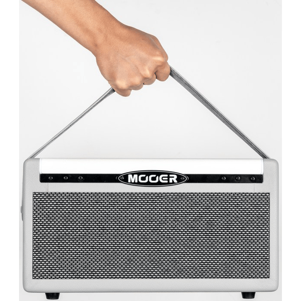 MOOER SD30I