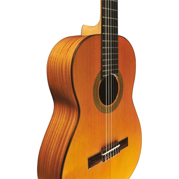 Eko Guitars EKO CHITARRA Vibra 300 Natural