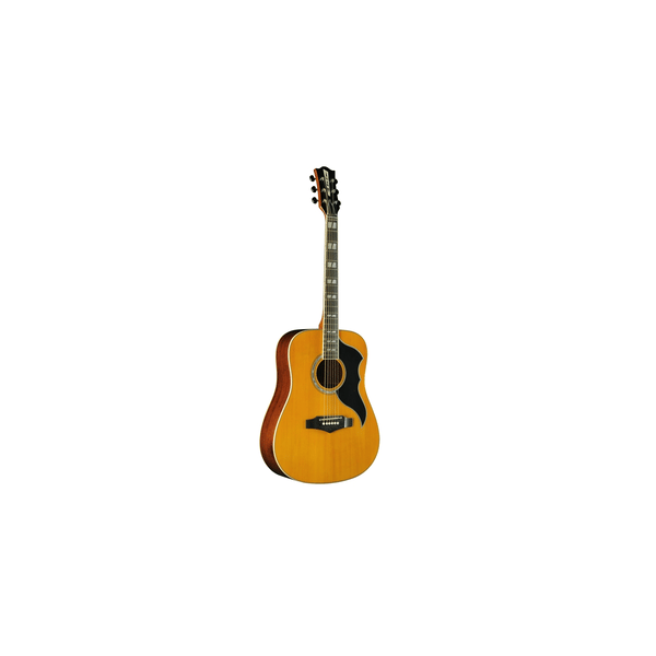 Eko Guitars Ranger VI VR Eq Natural Top Stained