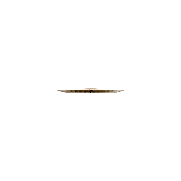 Zildjian A0361-21" A Ultra Hammered China Brilliant