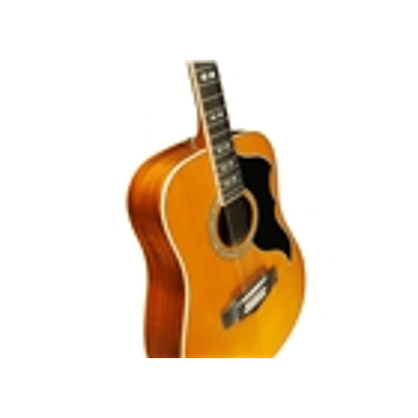Eko Guitars Ranger XII VR Eq Natural Top Stained