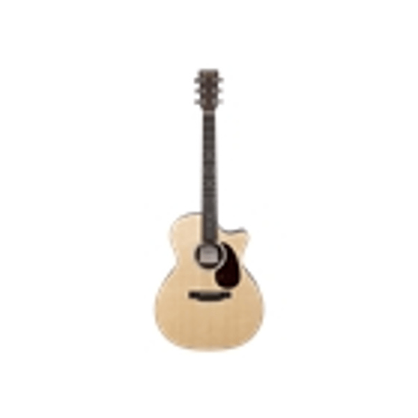 Martin & Co. GPC-13E Ziricote