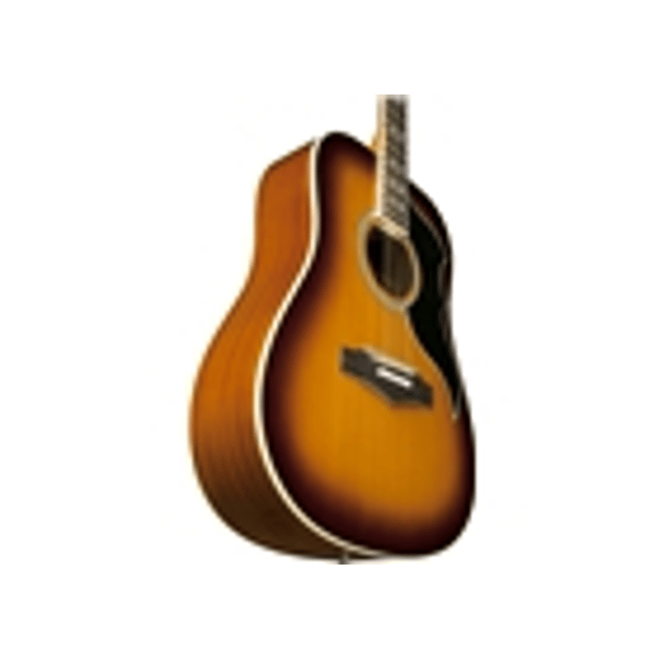 Eko Guitars Ranger VI VR Eq Honey burst