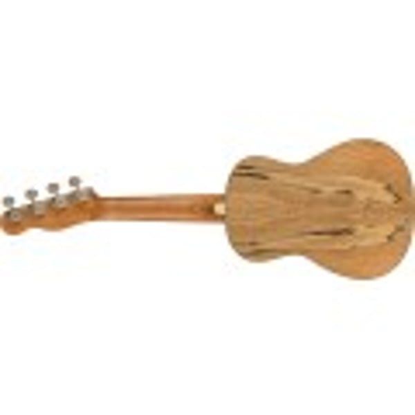 FENDER Ukulele Concert Strumenti popolari Acero marezzato Natural