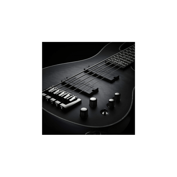 Fishman Fluence Bass Soapbar Black Plastic set/2 5 Corde