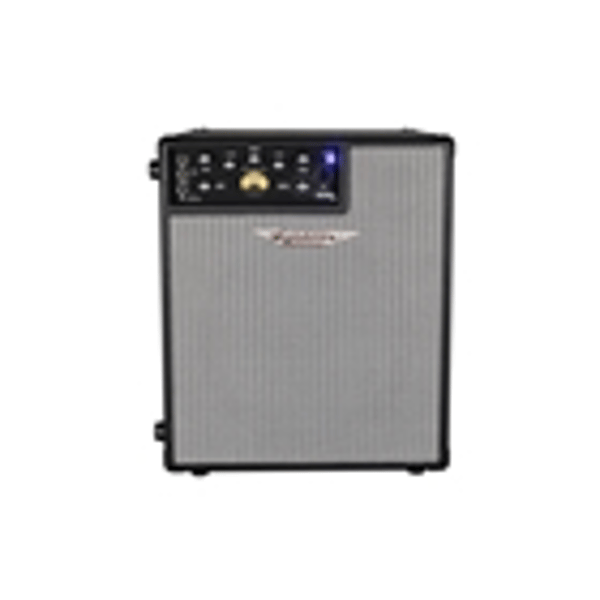 Ashdown ORIGINAL EVO C112-300