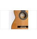 ico 2