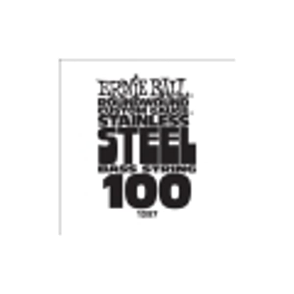 ERNIE BALL .100 Stainless Steel Bass