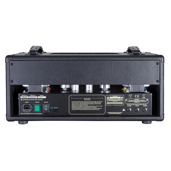 ASHDOWN CTM-100 TESTATA VALVOLARE PER BASSO ELETTRICO 100W
