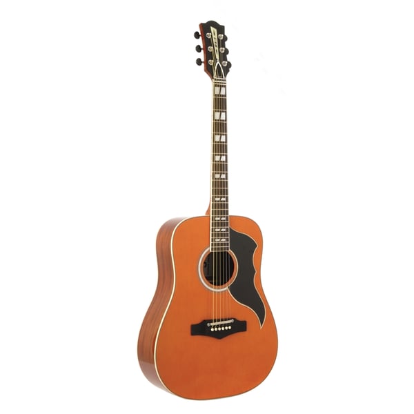 Eko Guitars Ranger VI VR Natural Top Stained