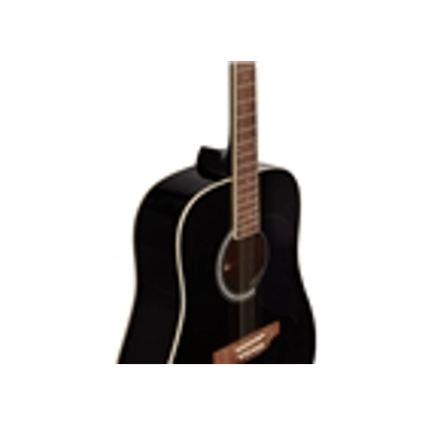 Eko Guitars Ranger 6 Black