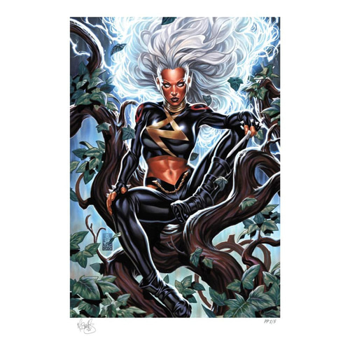 Storm 61 x 46 cm - unframed
