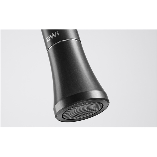 Akai Professional EWI SOLO WIND CONTROLLER