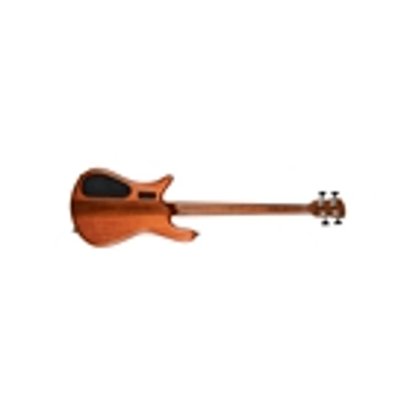 Spector NS Euro 4 Sienna Stain Matte