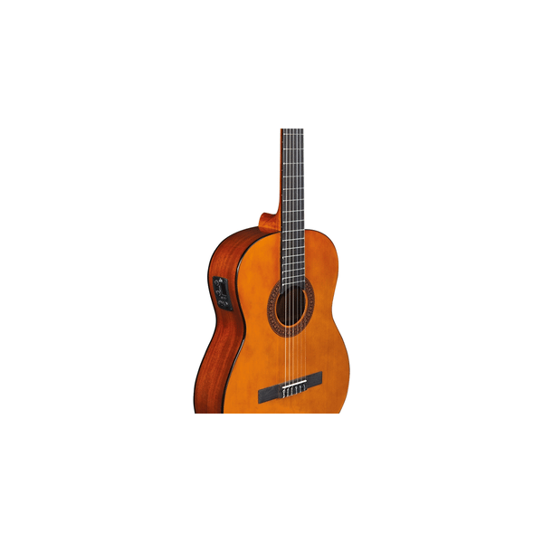 Eko Guitars CS-12 EQ