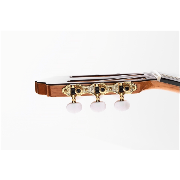 Esteve Alegria Chitarra Classica