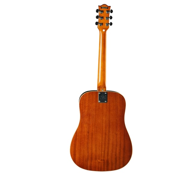 Eko Guitars Ranger VI VR Eq Natural Top Stained