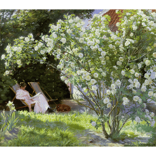 Peder Severin Krøyer Rose, o La moglie dell'artista nel giardino a Skagen