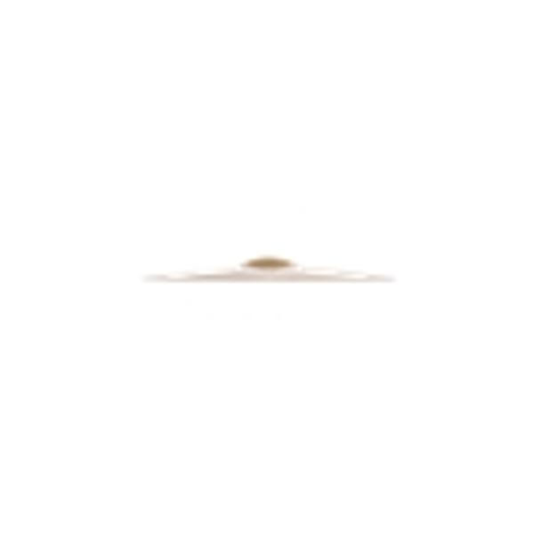 Zildjian A20534-18" A Custom Fast Crash