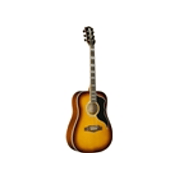 Eko Guitars Ranger VI VR Honey burst