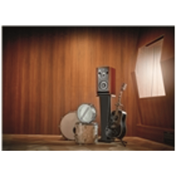 Focal Trio 6 ST6