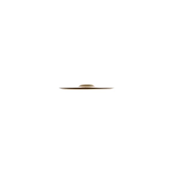 Zildjian A0610-10" FX China Trash