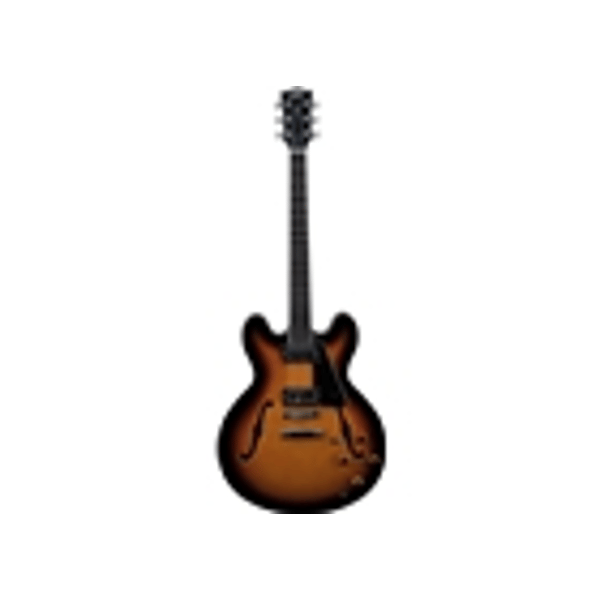 Eko Guitars SA 350