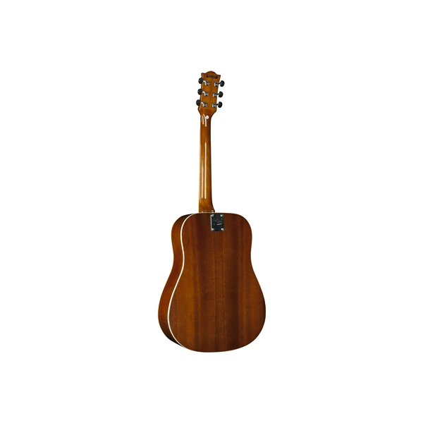 Eko Guitars Ranger VI VR Honey burst